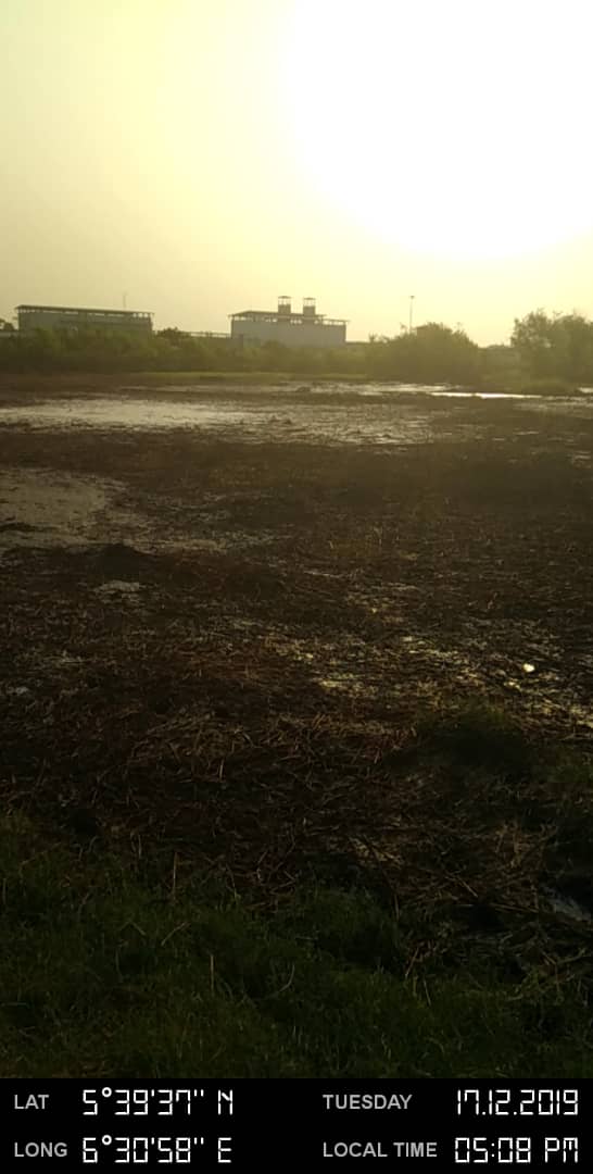 Impacted vegetation and surface water.