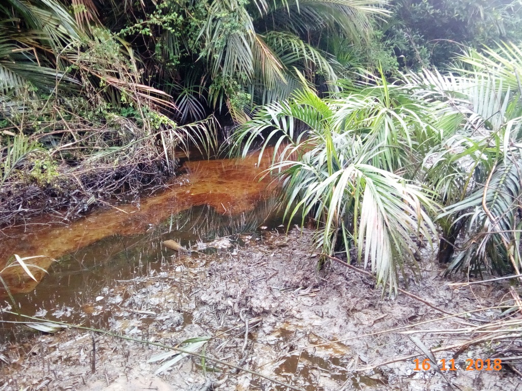 impacted vegetation and surface water.