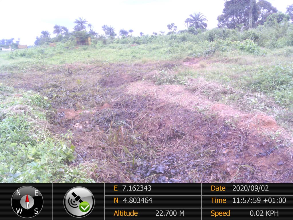 site picture4