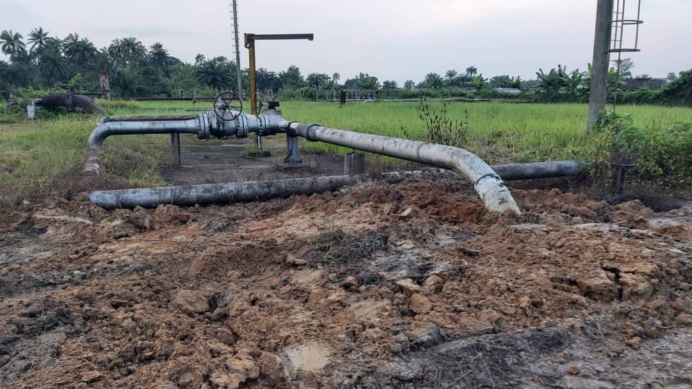 BACKFILLED PHOTO