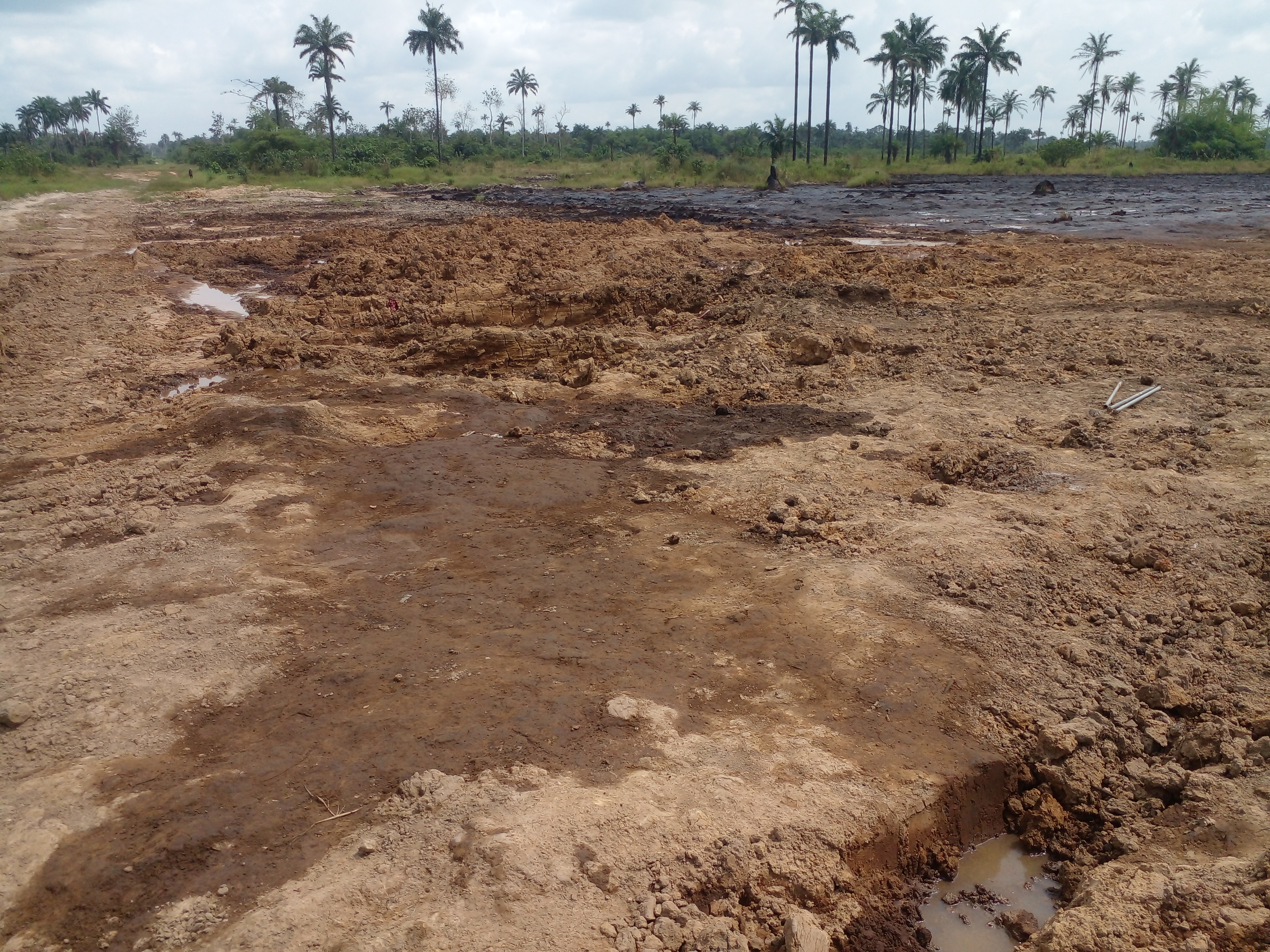 PIC PICTURES.SITE OVERVIEW