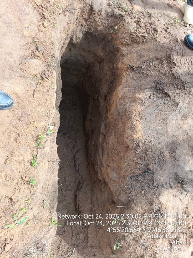 1ST JIV DUG UP SITE
