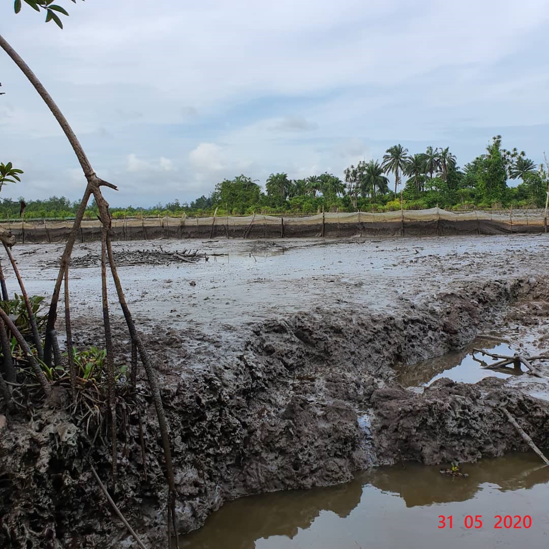 JIV picture (impacted fishing net and fish pond)