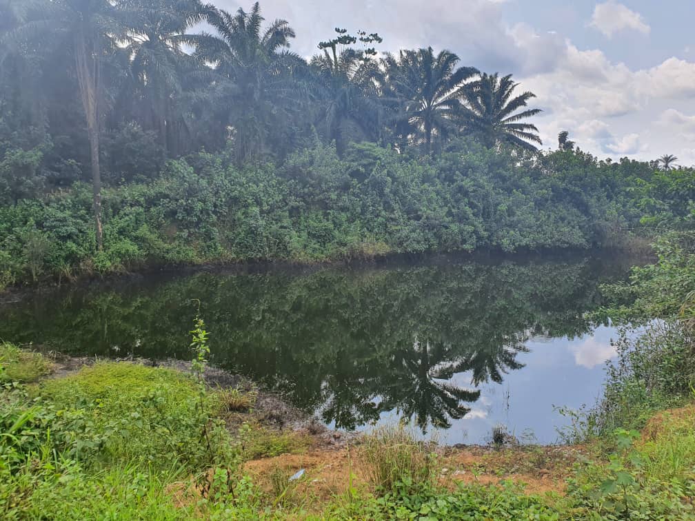 Burrow pit inundated with crude walking distance from JIV point