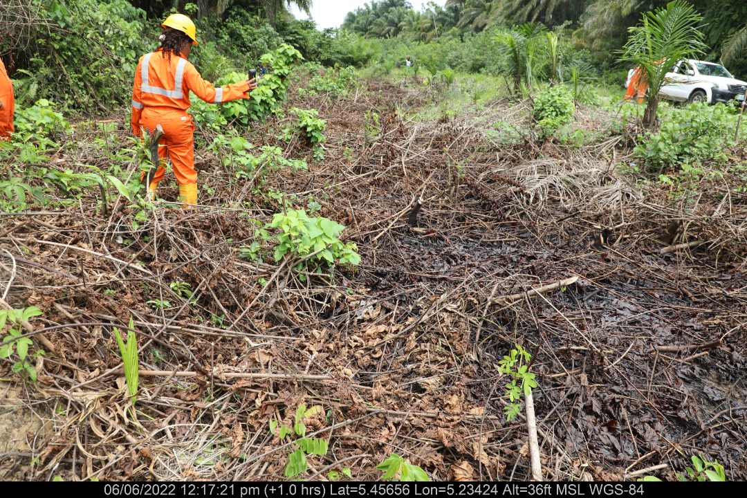 Impacted Vegetation