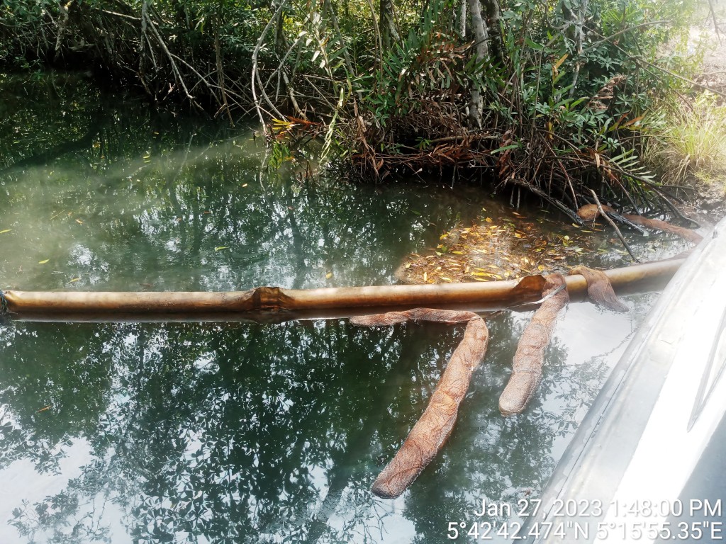 JIV picture (impacted surface water)