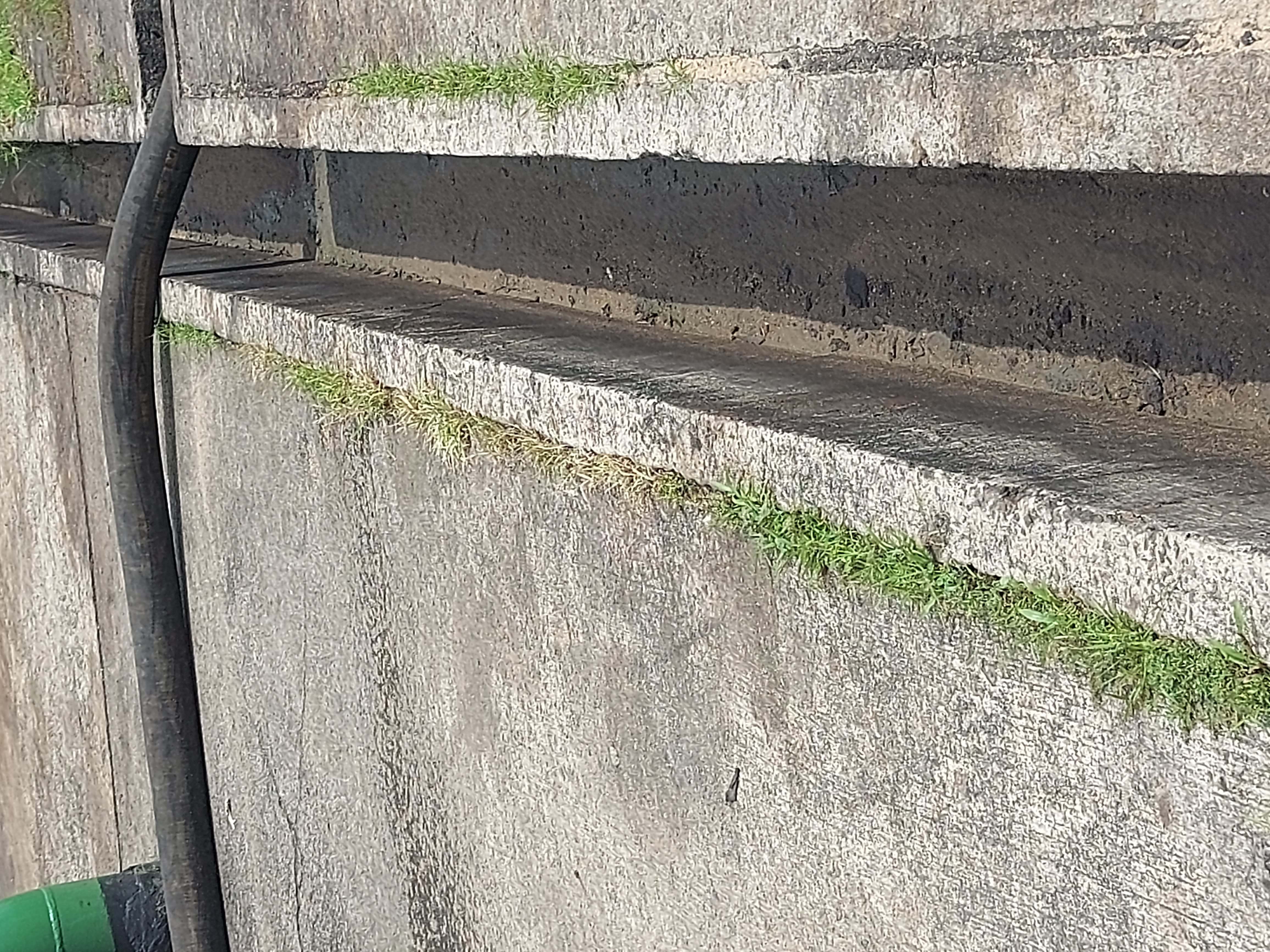 STORM WATER COLLECTOR DRAINS SHOWING NO CRUDE OIL STAINS