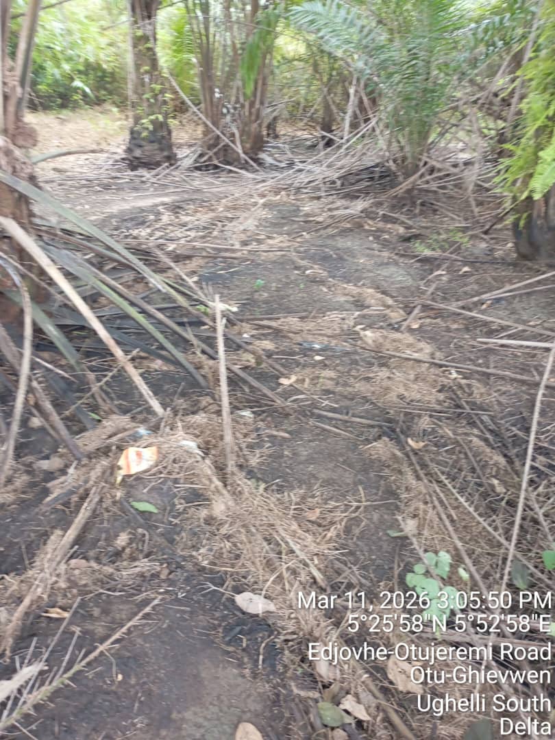 JIV picture (impacted environment) 2